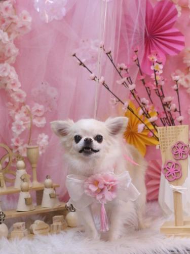 20250312りゅうくん